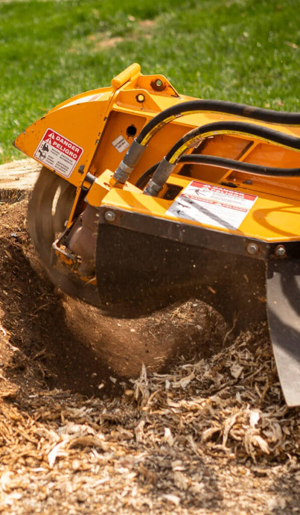 Industrial-grade stump grinder cutting a large tree stump 12 inches below grade in Freehold, NJ