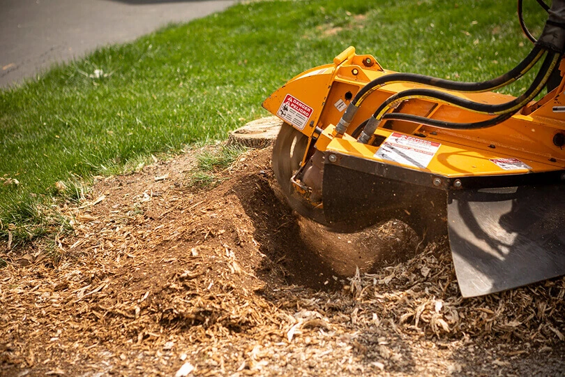 Professional stump grinding NJ service by Deep Cut Stump & Tree using high-power equipment in a residential backyard.